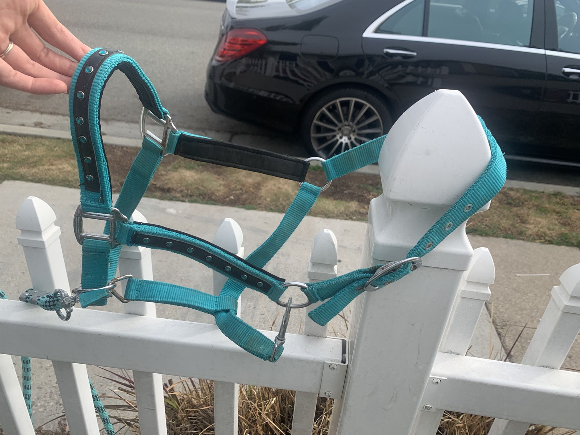 Horse Halter- Turquoise Bedazzled