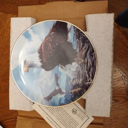 Eagle Plate - Year 1991