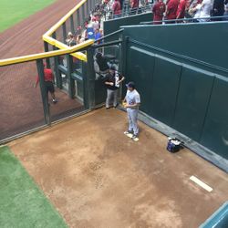 Arizona Diamondbacks Vs Rays