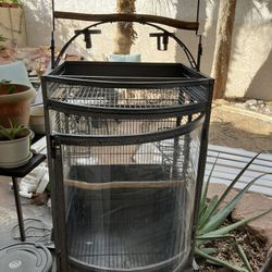 Play Top Bird Cage