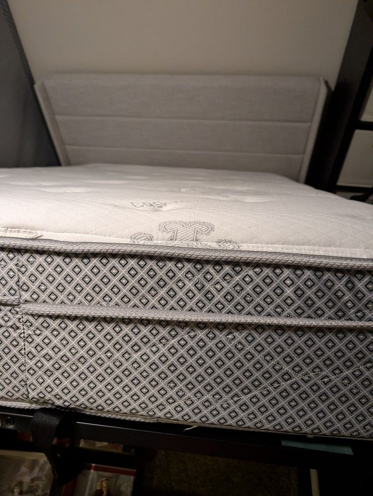 Full Box spring - ONLY