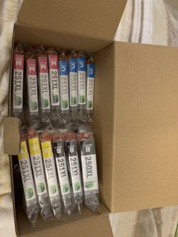 Canon Printer INK 251 and 250