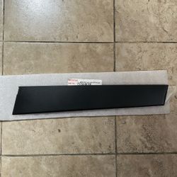 2018-2025 Toyota Camry Door Applique (Right, Front, Rear)