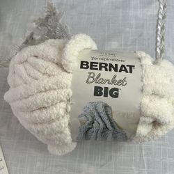 Bernat Blanket, Big Chenille Yarn