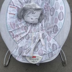 Baby Bouncer 