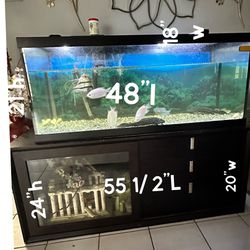 Fish Tank 75g