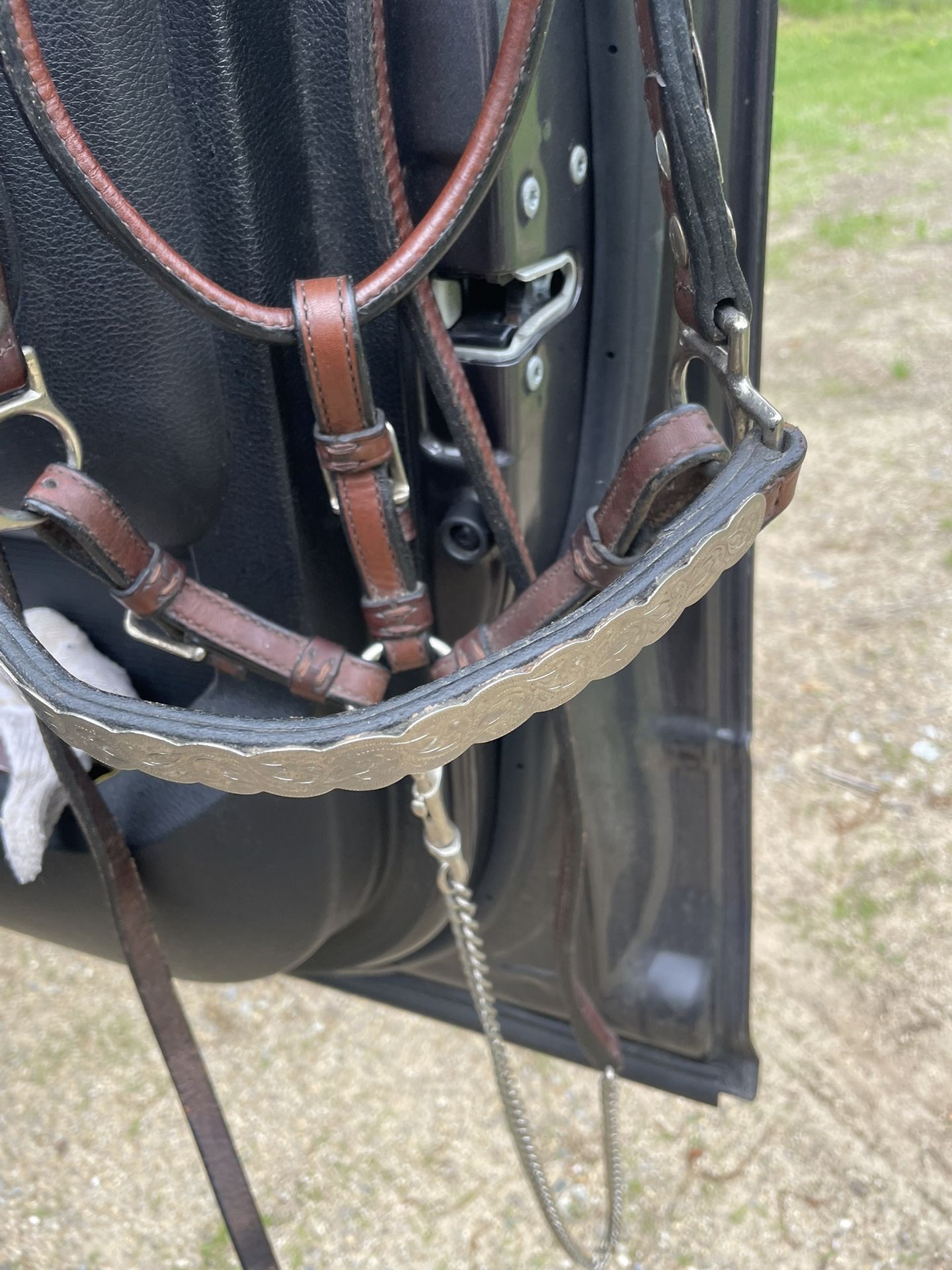 Show halter Silver