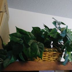 2 Fake Decorative Plants for your home...both for $20