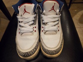 Air Jordan 3 True Blue Sneakers