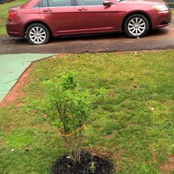 2012 Chrysler 200
