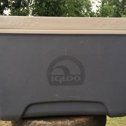 Igloo Personal Cooler