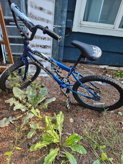 Free kid's bike