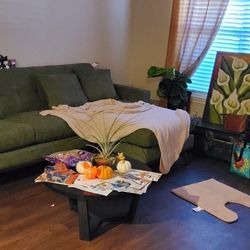 Sage Green Modern Couch