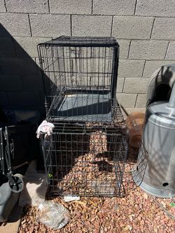 Kennel