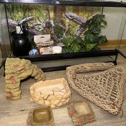 Full 40-Gallon Reptile Setup - Everything Included!