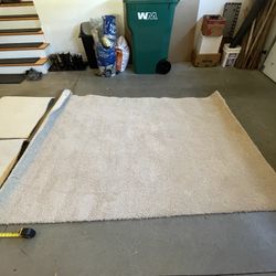 Beige Carpet Remnant