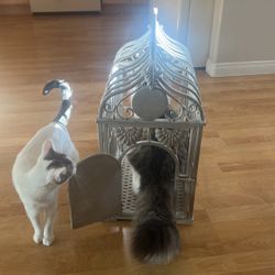 ✨🐾 Ivory Wrought Iron Fancy Pet Cage Toy Holder storage