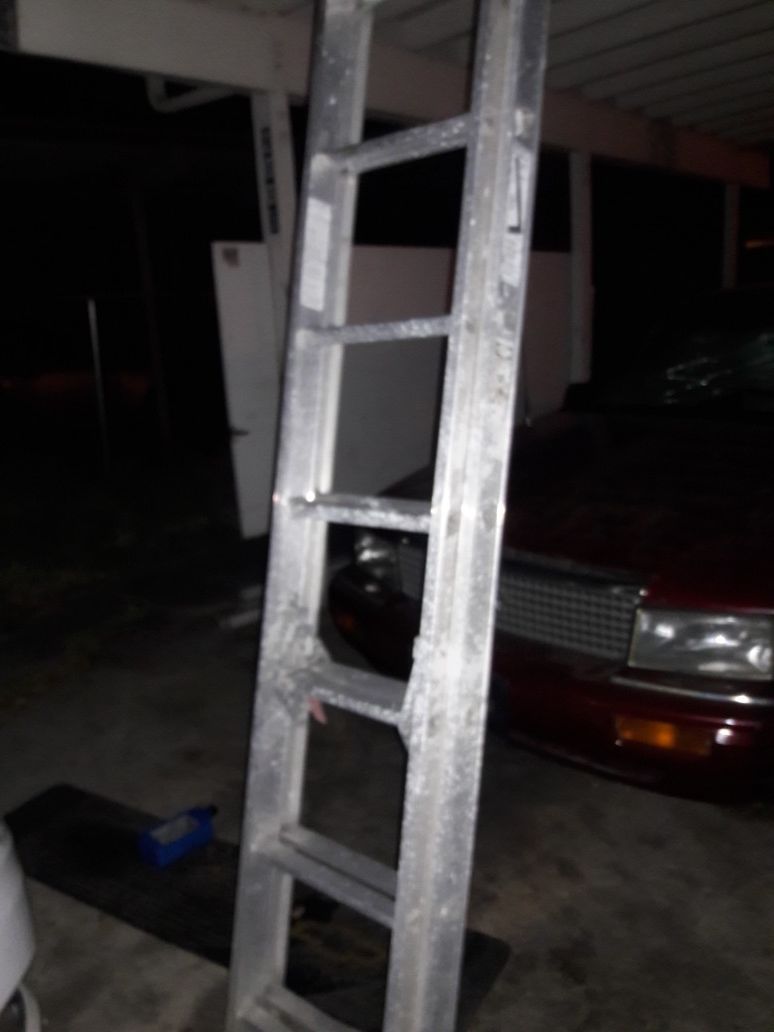 Werner 20 foot ladder
