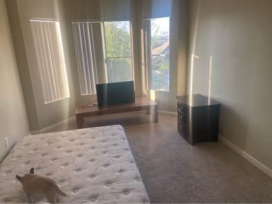 1 Bedroom With Private Bath Available July 1st