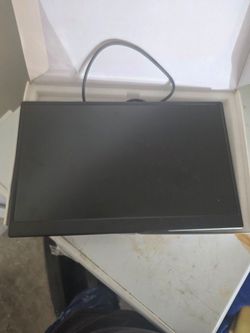 Portable monitor