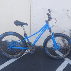 24" Specialized dirt jumper