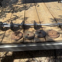 Exercise Weight and Bar