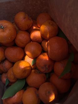 bag of tangerine