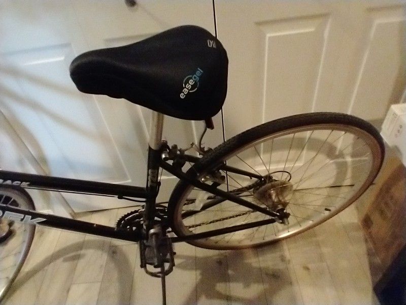TREK Multi-Track Bike $125