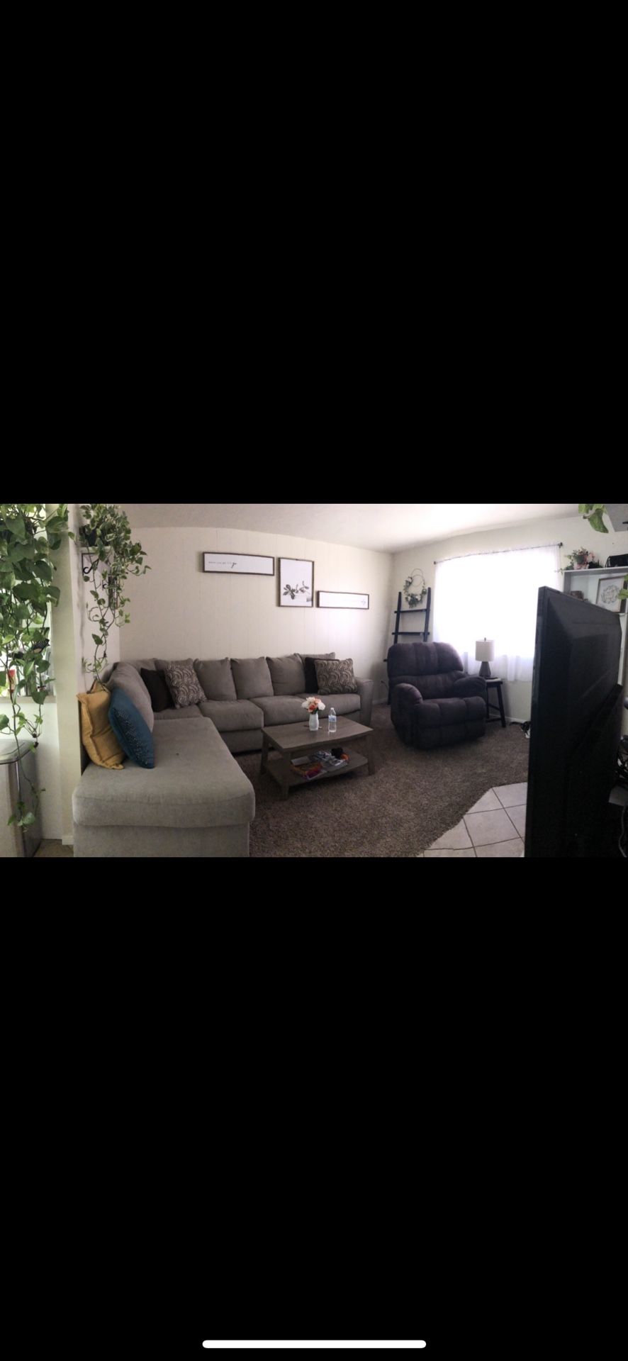 Sectional Couch For Sale
