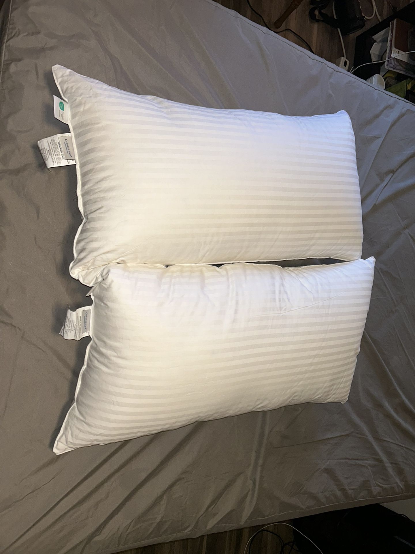 Two Cuddledown Pillows