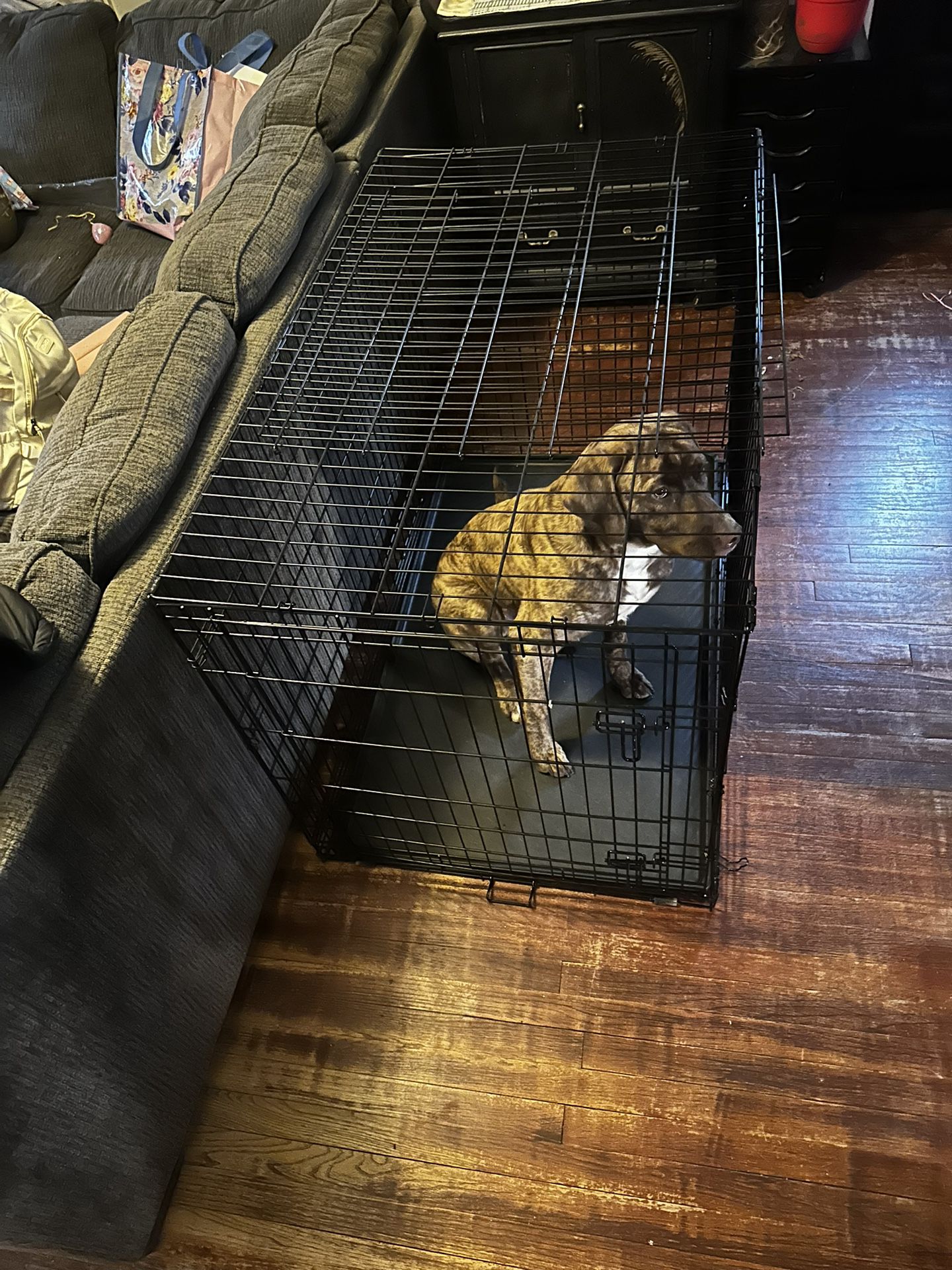 Brand New XL dog Crate