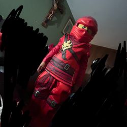 Ninjago Costume LEGO 