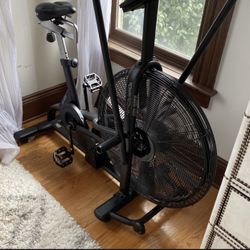 ASSAULT AIRBIKE (excellent condition)