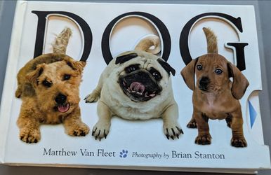 Doggone book is  fun for little ones and interactive