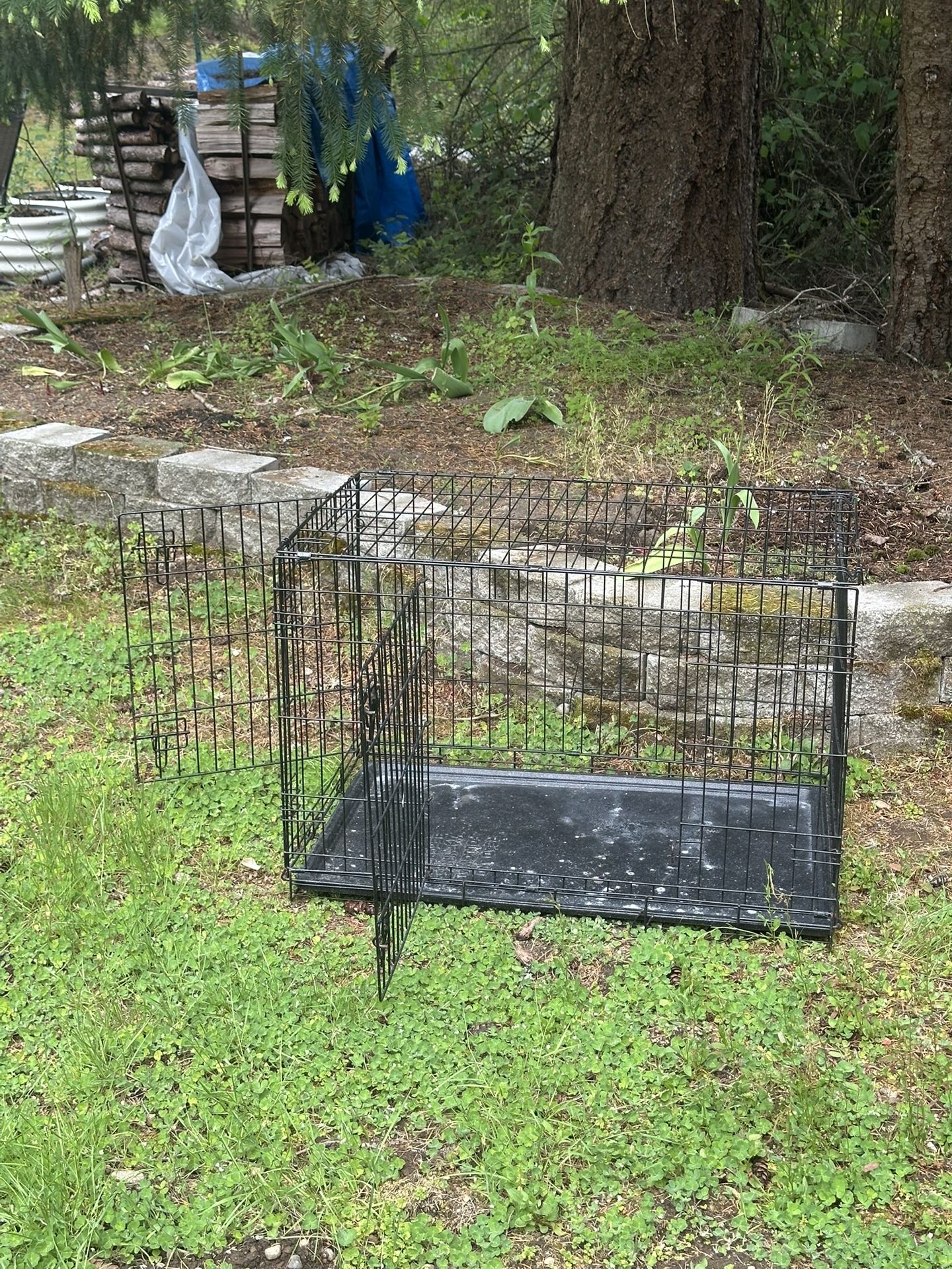 Dog Kennel