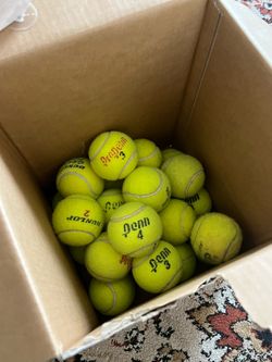 Flat tennis balls for dogs