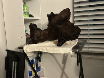 Tree For Fish Tank
