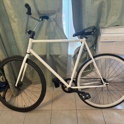 XL 6ku Fixie Bike