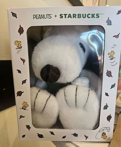 2- Snoopy Starbucks Plush, open to offers