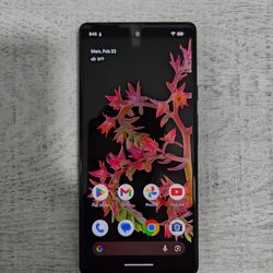 Pixel 6 Unlocked