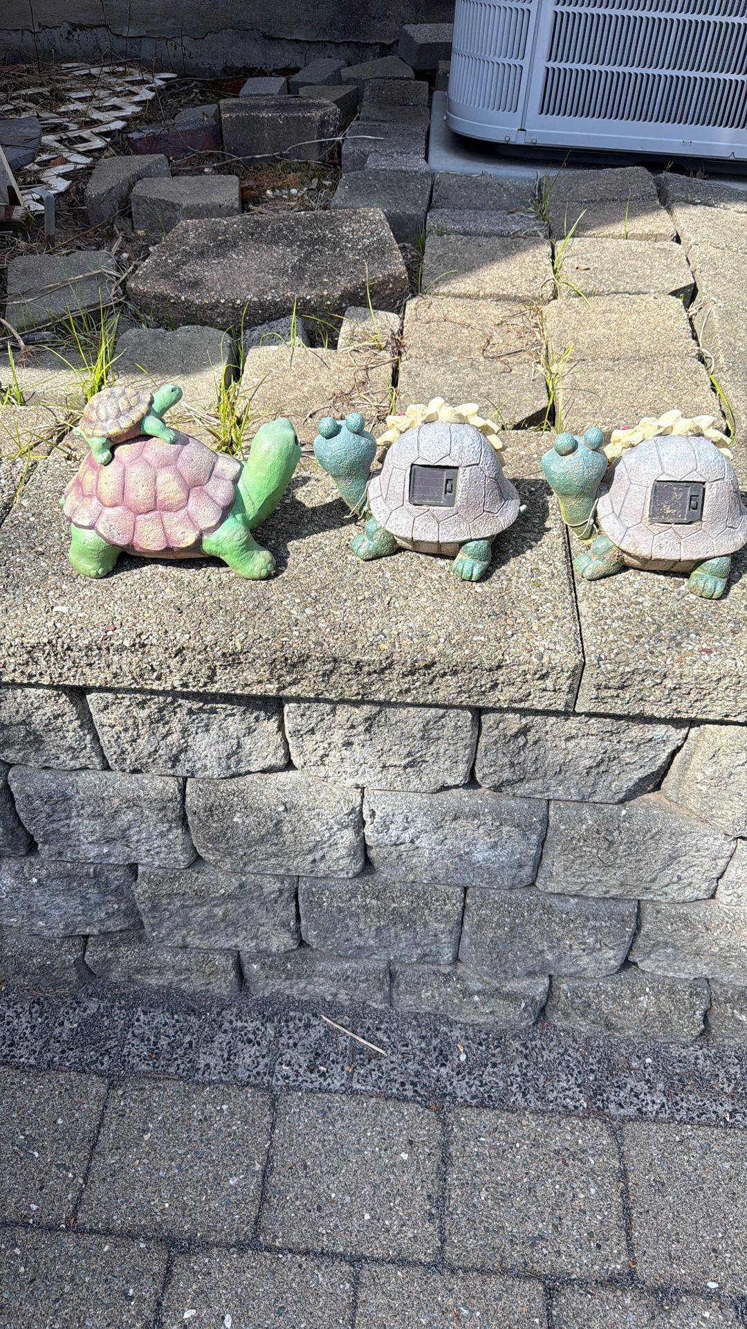 Turtles