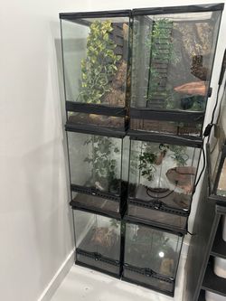 exo terra tanks