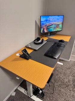 Standing Desk + Office Chair + Monitor — $220 Total