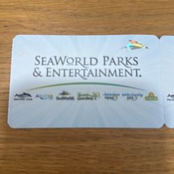 4 Busch Gardens Season Passes