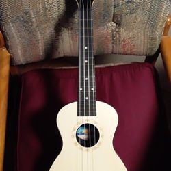 Brand New Ukulele. 