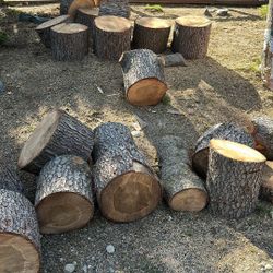 Free Cedar Rounds