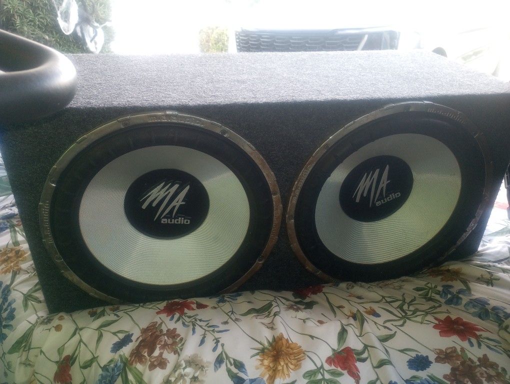 2 15 Inch Subwoofers