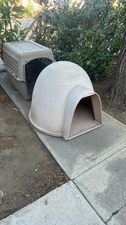 Dogloo