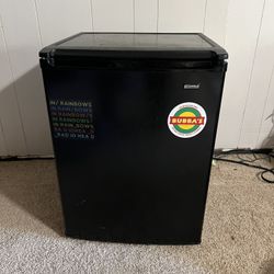 Mini Fridge 
