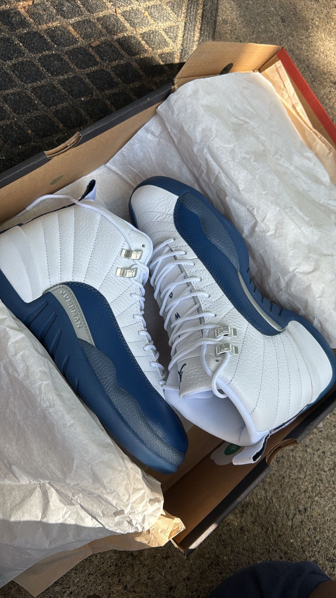 Jordan Retro 12 French Blue.